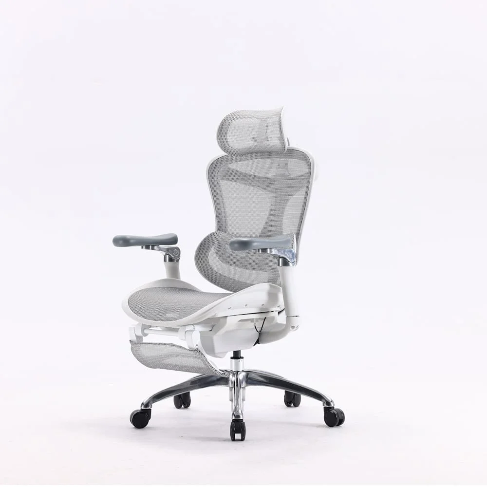 Ergonomic chair ErgoMax Pro